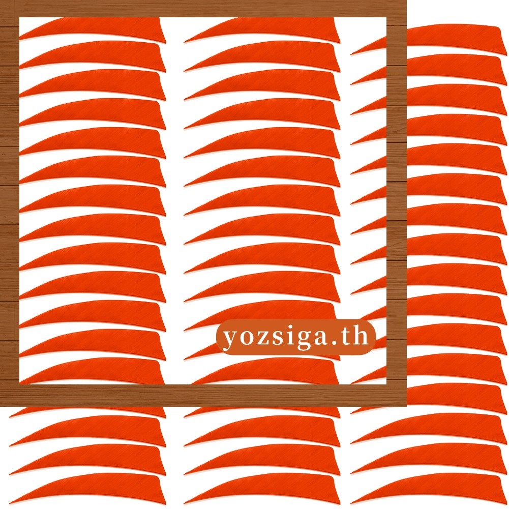 [Clearance Price]50 ชิ้น Natural Feathers Arrow Springs 4\"\" Arrow Feathers Feathers