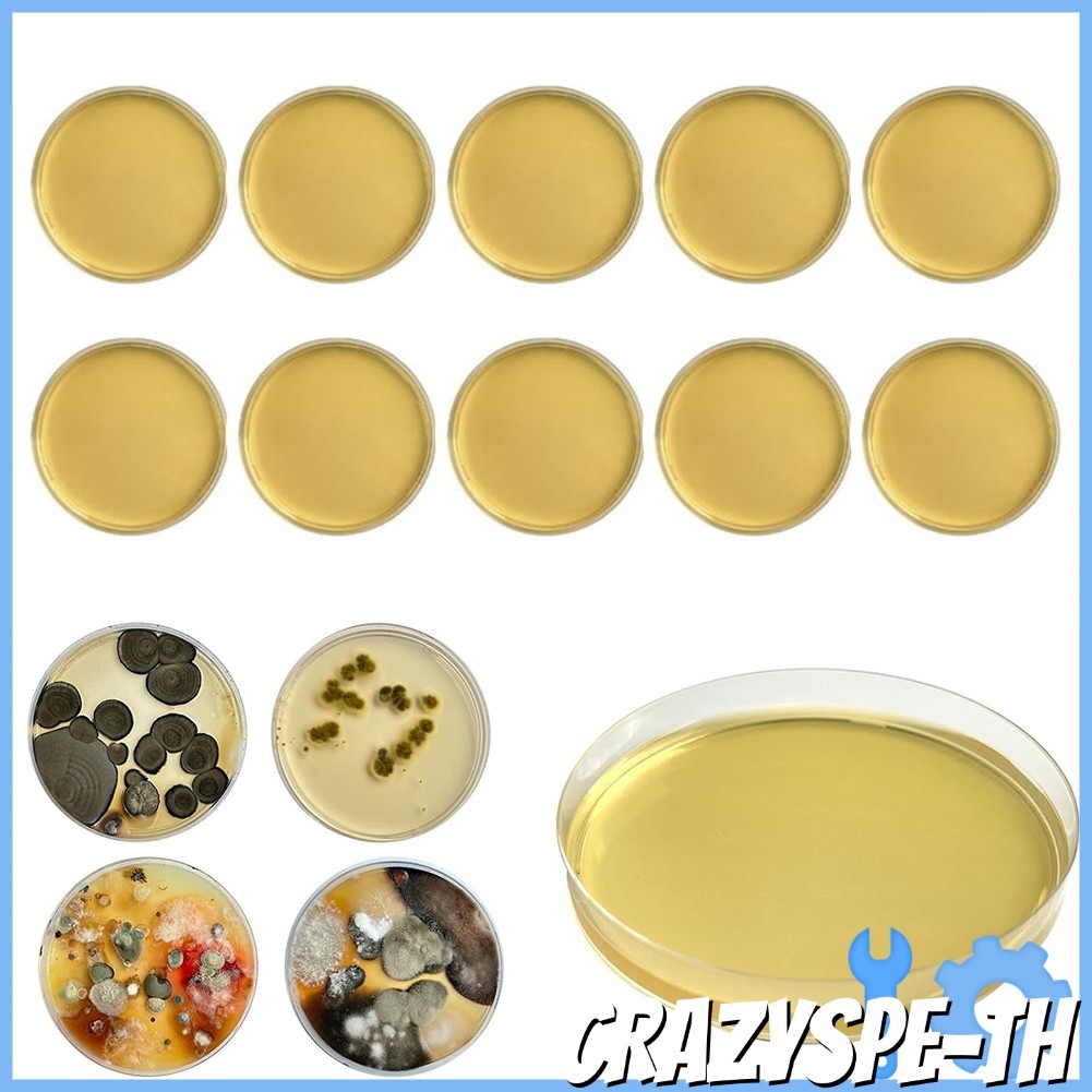 CRAfor Mold Test Kit Home DIY สําหรับแม่พิมพ์การทดสอบ HVAC System Kit เครื่องตรวจจับ