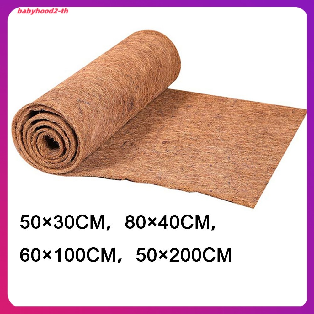 เสื้อคอเต่าผ้าฝ้าย combed
 แผ่นมะพร้าวปาล์ม Mat Cuttable พรมปูพื้นเสื่อประตู Coir Mat มะพร้าว 0.3-0.