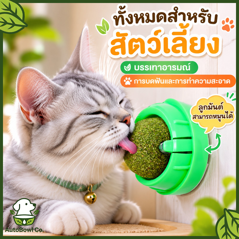 ของเล่นแมว catnip ball แคทนิปบอล กัญชาแมว แคทนิปแมว หญ้าแมว ติดกำแพง ไม่กลิ้งหาย ลดคราบหินปูน สําหรับสัตว์เลี้ยง