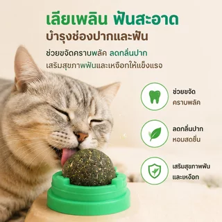 ของเล่นแมว catnip ball แคทนิปบอล กัญชาแมว แคทนิปแมว หญ้าแมว ติดกำแพง ไม่กลิ้งหาย ลดคราบหินปูน สําหรับสัตว์เลี้ยง