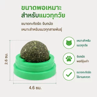 ของเล่นแมว catnip ball แคทนิปบอล กัญชาแมว แคทนิปแมว หญ้าแมว ติดกำแพง ไม่กลิ้งหาย ลดคราบหินปูน สําหรับสัตว์เลี้ยง