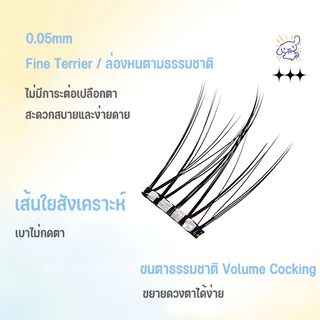 【สินค้าใหม่】ขนตาปลอมกาวในตัว บาง เบา ทรงสวยจึ้ง มีครบทุกลุค เหมาะกับทุกสไตล์ 6 แถว ติดง่ายใน 3 วิ เบาสบาย มีแหนบให้