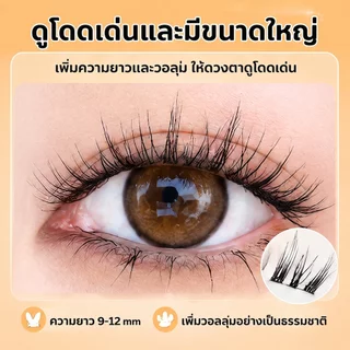 ขนตาปลอม กาวในตัว ติดง่าย เรียงเส้นสวย เป็นธรรมชาติ มีให้เลือกถึง 8 ทรง DIY ไม่ต้องใช้กาว ขนตาปลอม.