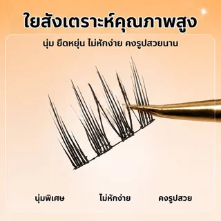 ขนตาปลอม กาวในตัว ติดง่าย เรียงเส้นสวย เป็นธรรมชาติ มีให้เลือกถึง 8 ทรง DIY ไม่ต้องใช้กาว ขนตาปลอม.
