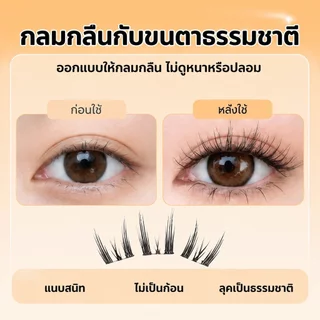 ขนตาปลอม กาวในตัว ติดง่าย เรียงเส้นสวย เป็นธรรมชาติ มีให้เลือกถึง 8 ทรง DIY ไม่ต้องใช้กาว ขนตาปลอม.