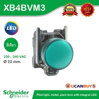 Schneider XB4BVM3 ไพล็อทแลมป์ไฟแสดงสี แบบสีเขียวชนิด LED ใช้กับไฟ 220/240 VAC วัสดุตัวฐานเป็นอลูมิเนียม