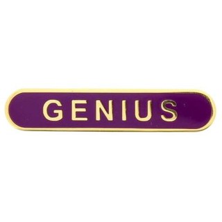 Genius Vintage Style Enamel Badge