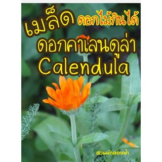 เมล็ดดอกคาเลนดูล่า Calendula 40+เมล็ด(ดอกไม้กินได้)