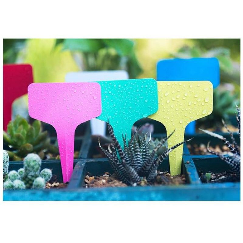 ป้ายปักติดชื่อต้นไม้รูปตัวที แพ็ค 20 แผ่น - รูปที่ 2