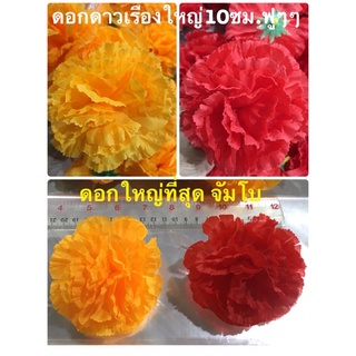 ดอกดาวเรือง ดอกใหญ่ สีแดง สีส้มทอง ดอกใหญ่10ซม.ดาวเรืองจัมโบ