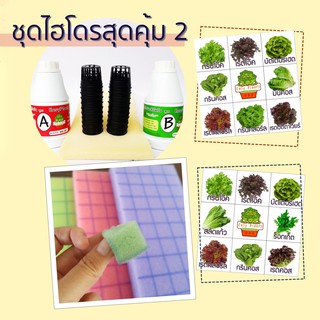 ชุดปลูกผัก สลัด ไฮโดรโปนิกส์ DIY สุดคุ้ม 2 (Kit เล็ก Plus)