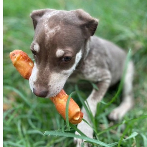 Dogfin กระดูกผูกสีธรรมชาติ 500g. และ 1 กิโลกรัม เกรด B - รูปที่ 2