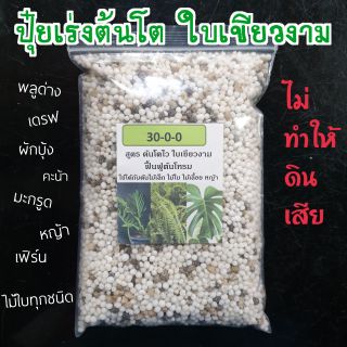 ปุ๋ยต้นไม้ บำรุงต้นใบเขียวงาม สำหรับไม้ใบทุกชนิด 500g