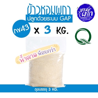 ข้าวกข43 แท้ 100% I 泰国大米品种编号43 I ตราหอมผกา ขนาดบรรจุ 3 กก. ปลูกด้วยระบบ GAP มีการควบคุมการใช้สารเคมีจากกรมการข้าว