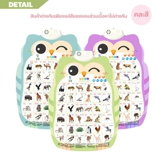 ERORO โปสเตอร์นกฮูกพูดได้ 1-3ภาษา กดมีเสียง สำหรับเรียนรู้คำศัพท์ภาษาจีน ภาษาอังกฤษ