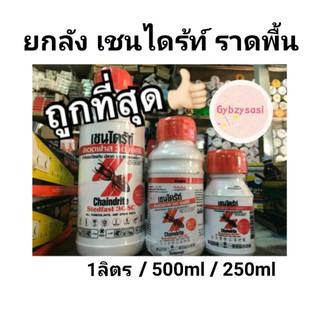 (ยกลัง 6ขวด) Chaindrite เชนไดร้ท์ ราดพื้น 1ลิตร เชนไดร้ท์สเตดฟาส 30sc