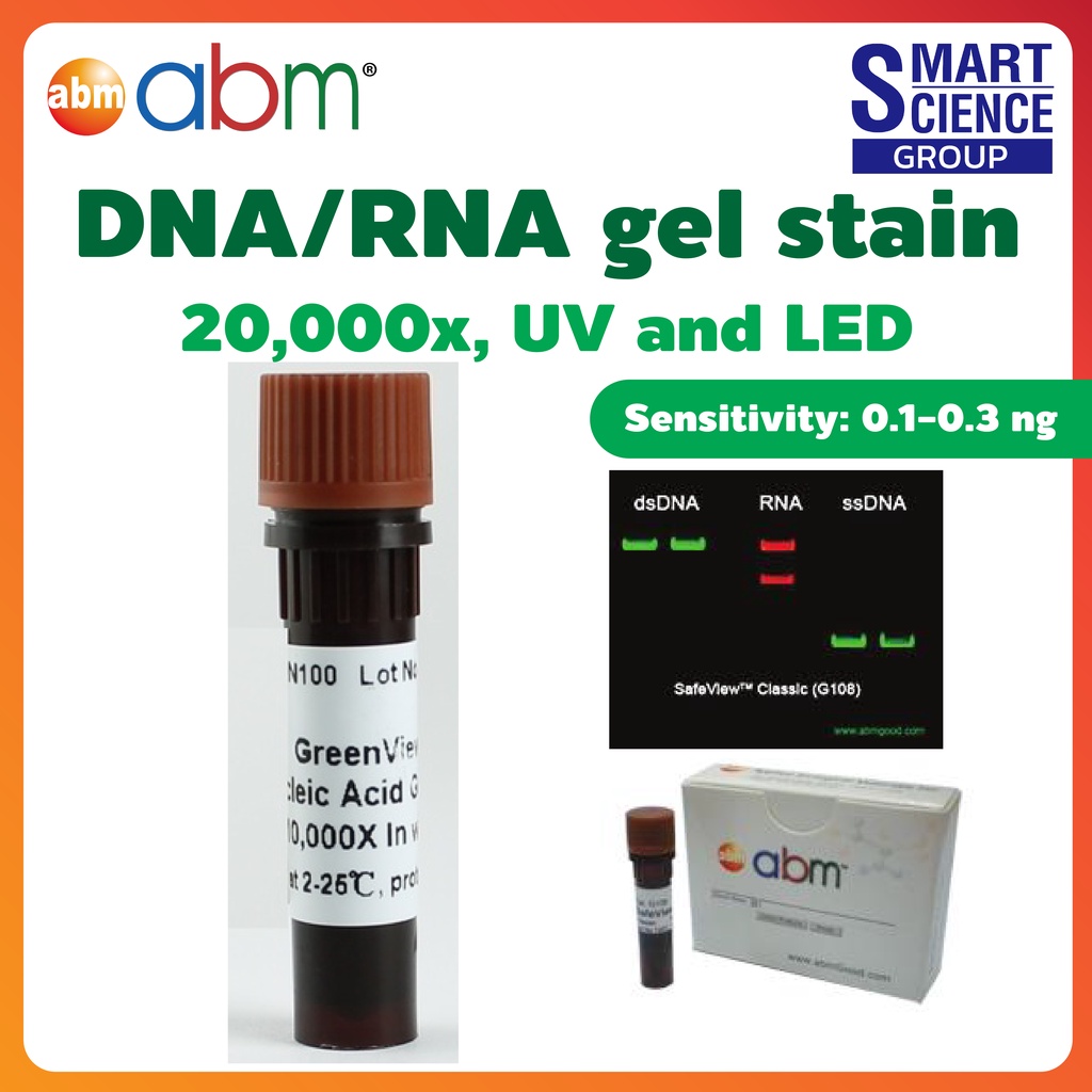 SafeView Classic DNA RNA gel stain nucleic acid agarose polyacrylamide gels electrophoresis ปริมาณ 1