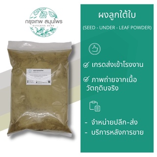 ลูกใต้ใบผง 1 กิโลกรัม ผงลูกใต้ใบ Seed-under-leaf Powder