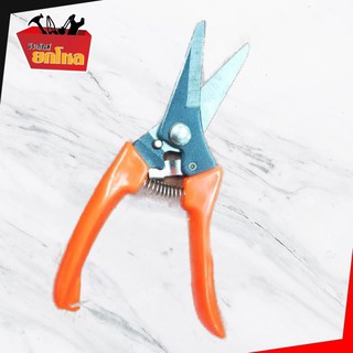 FODE4289 กรรไกรตัดกิ่งไม้ กรรไกรตัดกิ่ง กรรไกรตัดแต่งกิ่ง ขนาด 7นิ้ว Bypass Pruner Pruning Sheer Forged Pruner DS-16075