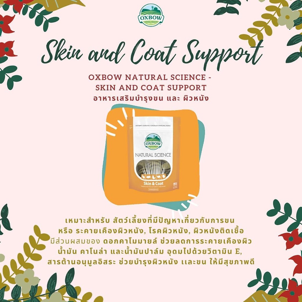 ร้านโทโมะ 💕 คุกกี้ วิตามิน Oxbow คุกกี้วิตามินรวม สำหรับสัตว์ฟันแทะ กระต่าย แกสบี้ ชินชิลล่า หนู แพรี่ด๊อก ขนมกระต่าย - รูปที่ 7