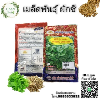 เมล็ดพันธุ์ ผักชี นารีรัตน์