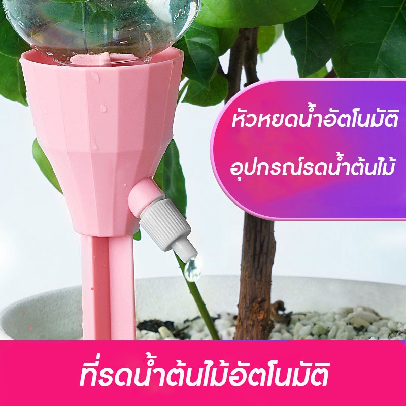 My Image 35