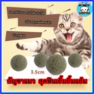 PP-020 กัญชาแมว กัญชาบอล Catnip Ball แคทนิปบอล ขนมแมว