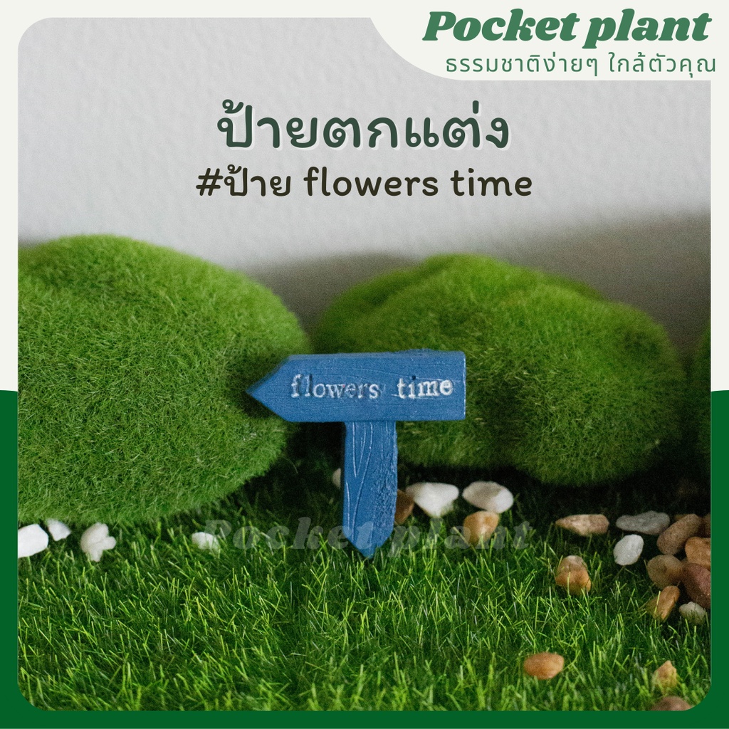 มุมมอง 3