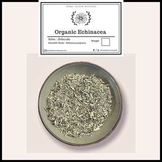 Organic Echinacea Leaf 50g เอ็กไคนาเซีย (Echinacea purpurea)