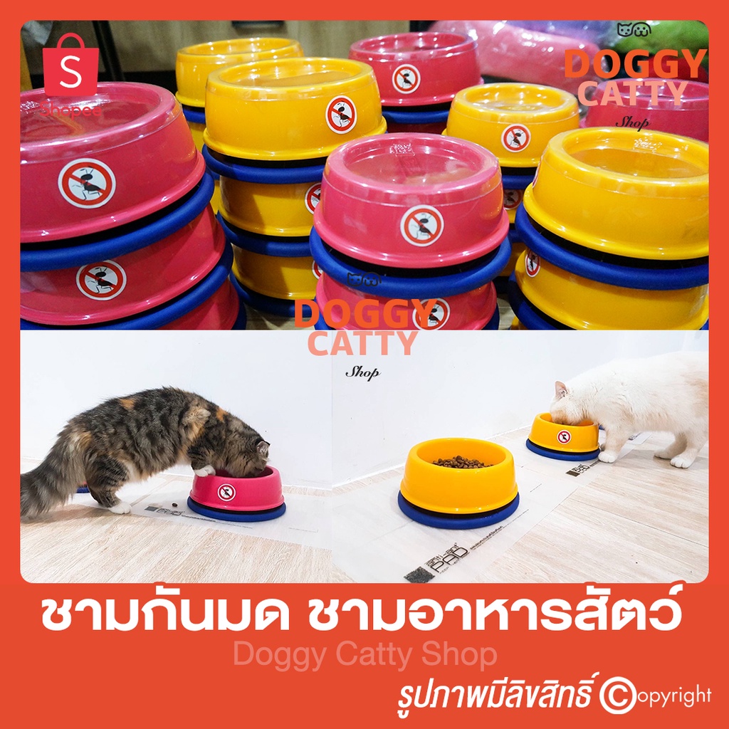 ชามกันมด (กันมด) No ANT Pet bowl ชามอาหารสุนัข ชามอาหารแมว