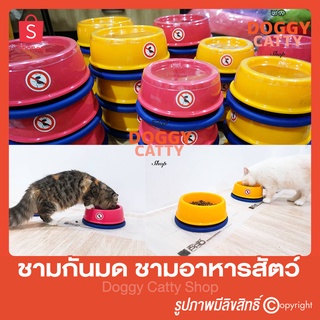 ชามกันมด (กันมด) No ANT Pet bowl ชามอาหารสุนัข ชามอาหารแมว