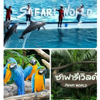 บัตรซาฟารีเวิลด์ Safari World ค่าเข้าทั้ง 2โซน ราคาถูก