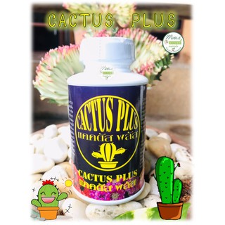 ปุ๋ยแคคตัส 🌵แคคตัสพลัส 🌵 Cactus Plus ปุ๋ยน้ำ ปุ๋ยกระบองเพชร บำรุงแคคตัสแข็งแรง หัวอวบอ้วน ฟื้นฟูต้นโทรม ขนาด 250 ซีซี