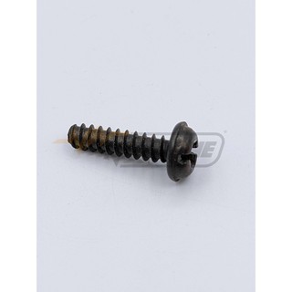 04532 H3 SCREW ST4.8*19 2 MINI