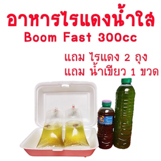 [[ มือใหม่ทำได้แน่นอน!!!]]  อาหารไรแดงน้ำใส BooM Fast ขนาด 300 ml ทำง่ายๆๆไม่ต้องทำน้ำเขียว!!