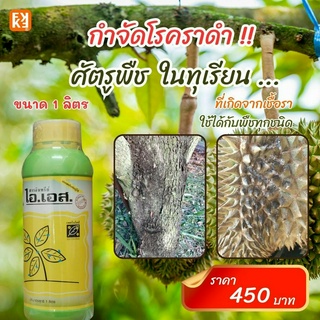 โรคราดำ ป้องกันและกำจัดโรคราดำ ในทุเรียน โรคพืชที่เกิดจากเชื้อรา ไอเอส สารอินทรีย์ยับยั้งเชื้อรา สกัดจากวัตถุดิบธรรมชาติ