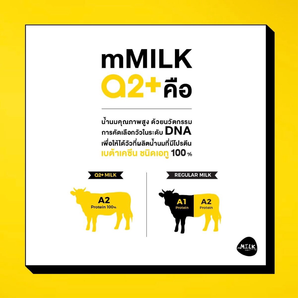 ♈✌"(ยกลัง) mMILK A2+ เอ็มมิลค์ นมยูเอชที ปราศจากน้ำตาลแลคโตส รสจืด ผลิตจากนมโคสดแท้ 100% แคลเซียมสูง ขนาด 180 มล. จำนวน