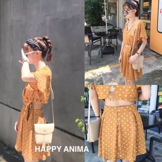 ชุดเซตลายจุด
