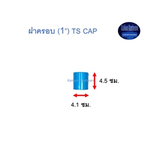 ฝาครอบ ท่อน้ำไทย (1”) Thai Pipe TS Cap ฟ้า 1