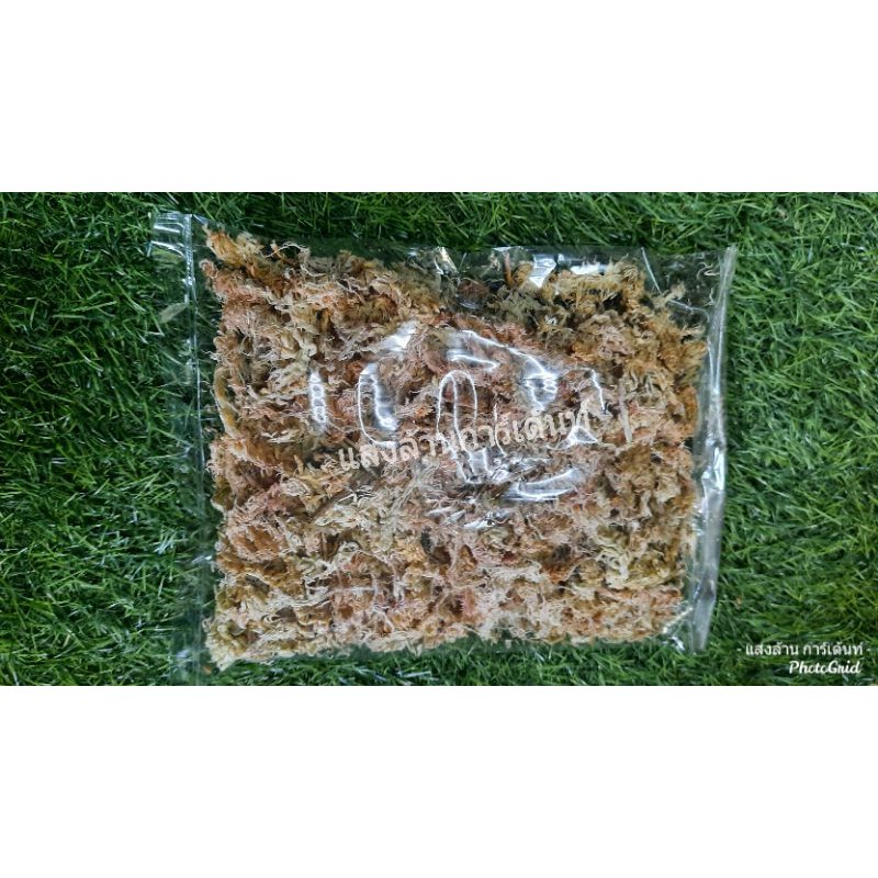 สเเฟกนั่มมอสแบบแห้ง dry Sphagnum Moss