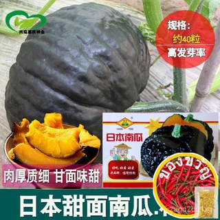 japan pumkin seeds Vegetable seedsแอปเปิ้ล/กุหลาบ/หมวก/มะละกอ/บ้านและสวน/เด็ก/มักกะโรนี/บุรุษ/สร้อยข้อมือ/​​กระโปรง/ 0LZ