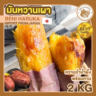 มันหวานญี่ปุ่น เผา พร้อมทาน 2 กิโลกรัม เบนิฮารุกะ Beni Haruka มันหวาน มันหวานญี่ปุ่นแท้ มันหวานญี่ปุ่นนำเข้า ม