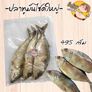 ส่งฟรีๆๆถึงหน้าบ้านเลยจ้า ปลาทูมันไซต์ใหญ่ 495 กรัม