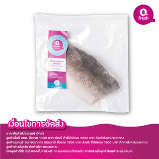 Qfresh เนื้อปลากะพงขาวแล่ครึ่งซีก 300-350 กรัม/ชิ้น /ไม่รวมค่าจัดส่ง/กรุณาอ่านเงื่อนไขการจัดส่ง