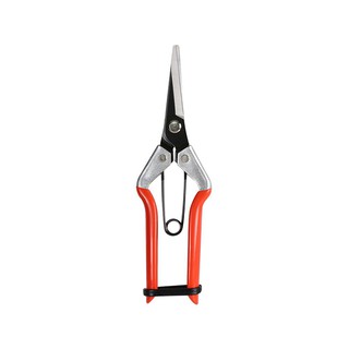 ARAI METAL SJ-F-180S SHEAR PRUNER กรรไกรแต่งกิ่ง ARAI METAL SJ-F-180S อุปกรณ์ตัดแต่ง อุปกรณ์ทำสวน สวนและอุปกรณ์ตกแต่ง AR