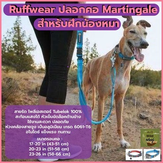 Ruffwear ปลอกคอ Martingale สำหรับฝึกน้องหมา WEB REACTION™ MARTINGALE DOG COLLAR WITH BUCKLE