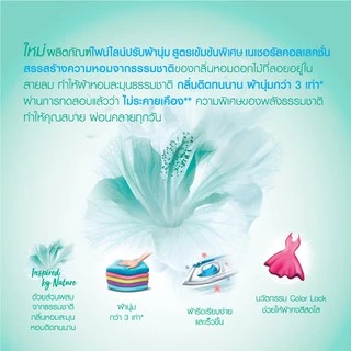 [ยกลัง] Fineline ไฟน์ไลน์น้ำยาปรับผ้านุ่มสูตรเข้มข้น 440-450 มล. ,x12 [เลือกสูตรได้]