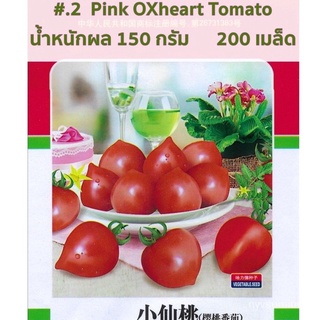 ขายดี สวนครัว/เมล็ด มะเขือเทศหัวใจ  ผลขนาดกลาง***    Pink OXheart Tomato  สายพันธุ์ OP จำนวน 20/อินทรีย์ คละ สวนครัว ดอก