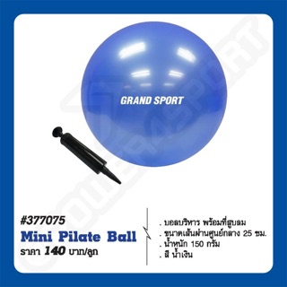 ลูกบอลบริหาร Mini Pilate Ball 25 ซม. GS #377075